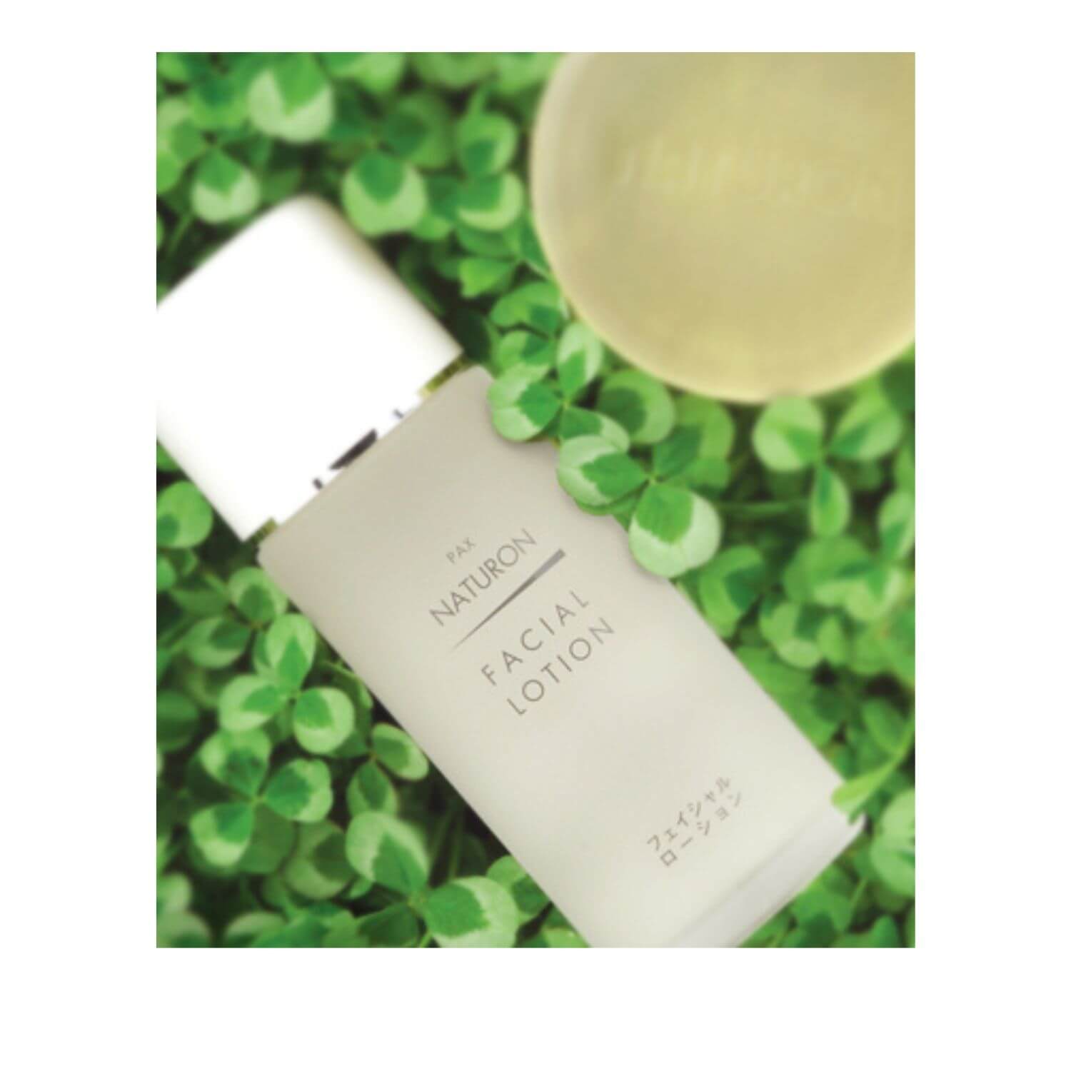 PAX NATURON Facial Lotion Refreshing Type - 100mL
