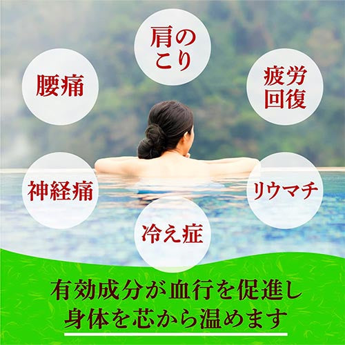 Earth Yumeguri Japanese Hot Spring Yakusen Meguri 30g x 15pcs - TODOKU Japan - Japanese Beauty Skin Care and Cosmetics