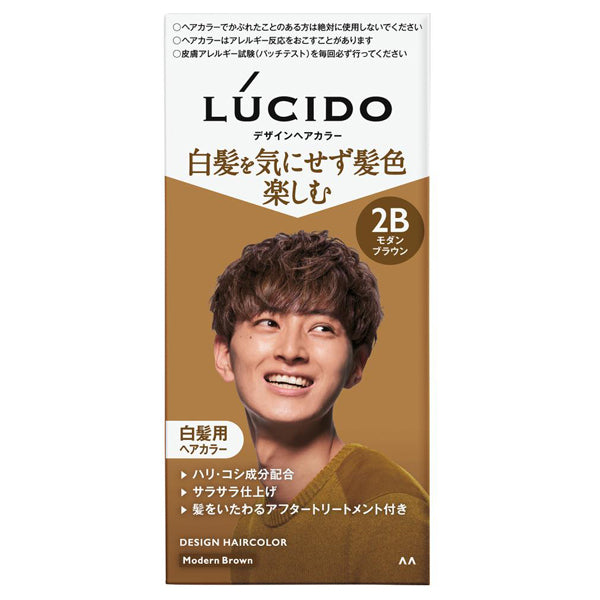 Lucido Design Hair Color For Gray Hair - TODOKU Japan - Japanese Beauty Skin Care and Cosmetics