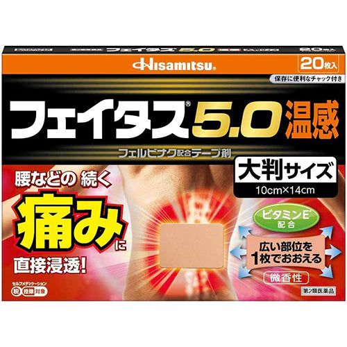 Hisamitsu Feitas Pain Relief Patche 5.0 Hot Big Size - 10cmx14cm - TODOKU Japan - Japanese Beauty Skin Care and Cosmetics