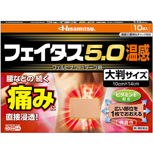 Hisamitsu Feitas Pain Relief Patche 5.0 Hot Big Size - 10cmx14cm - TODOKU Japan - Japanese Beauty Skin Care and Cosmetics