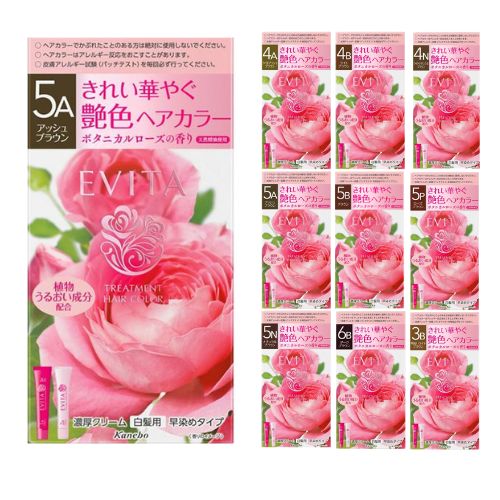 Kanebo EVITA Treatment Hair Color - TODOKU Japan - Japanese Beauty Skin Care and Cosmetics
