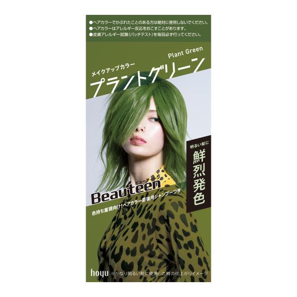 Hoyu Beauteen Makeup Hair Color - TODOKU Japan - Japanese Beauty Skin Care and Cosmetics