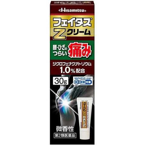Hisamitsu Feitas Zα Dicsas Pain Relief Paint - Cream 50g - TODOKU Japan - Japanese Beauty Skin Care and Cosmetics