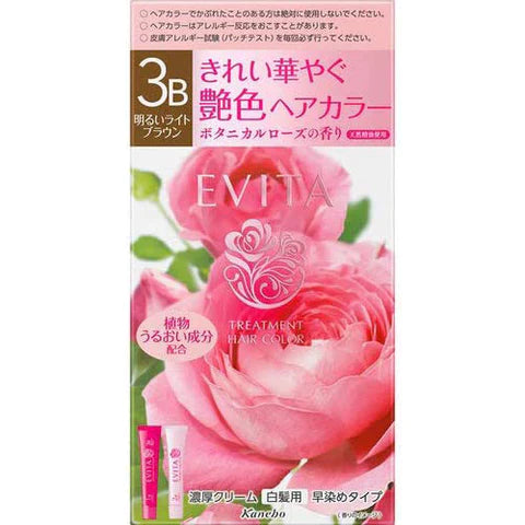 Kanebo EVITA Treatment Hair Color - 3B Bright Light Brown - TODOKU Japan - Japanese Beauty Skin Care and Cosmetics