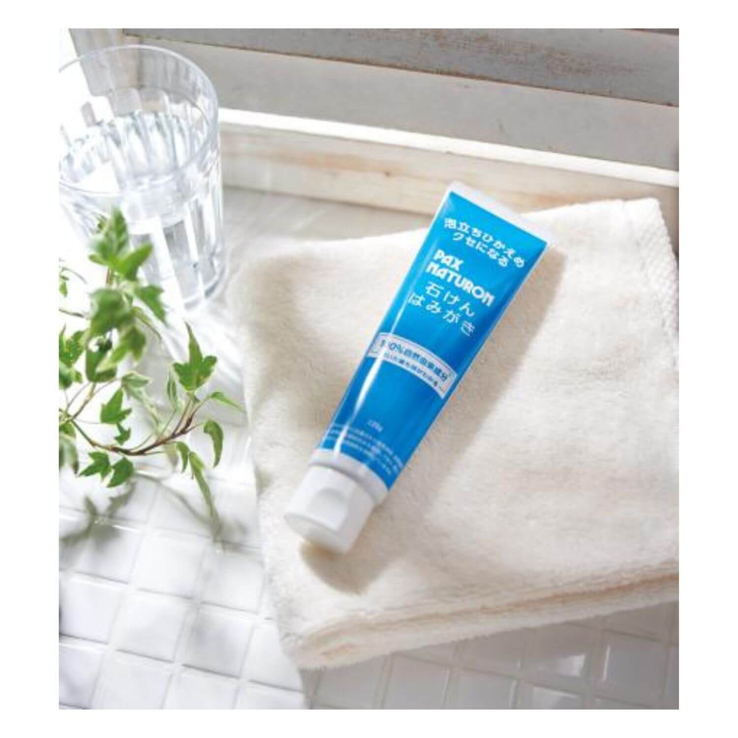 PAX NATURON Soap-Based Toothpaste - 120g