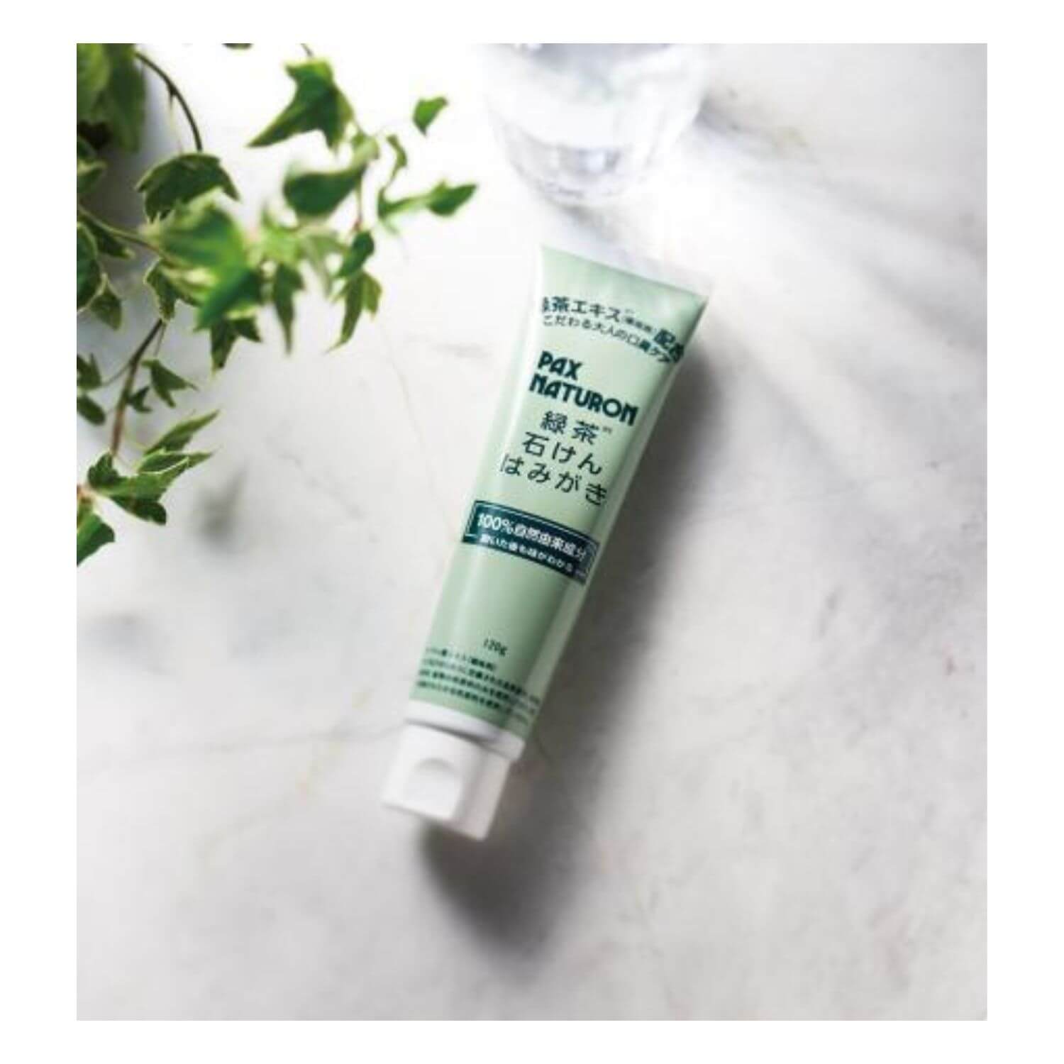 PAX NATURON Green Tea Soap-Based Toothpaste For Bad Breath Care - 120g