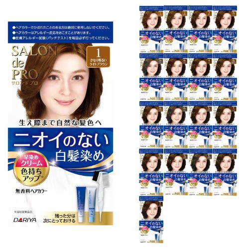 Salon De Pro Hair Color Gray Hair Cream Type - TODOKU Japan - Japanese Beauty Skin Care and Cosmetics